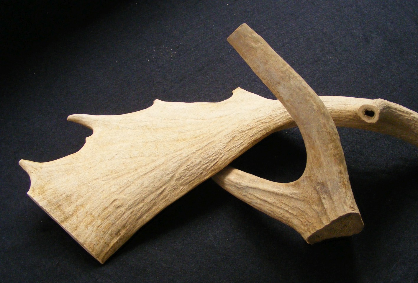 Discarded sawn-off antler from 12th century workshop Discarded sawn-off antler from 12th century workshop