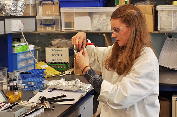 A%20researcher%20at%20the%20University%2