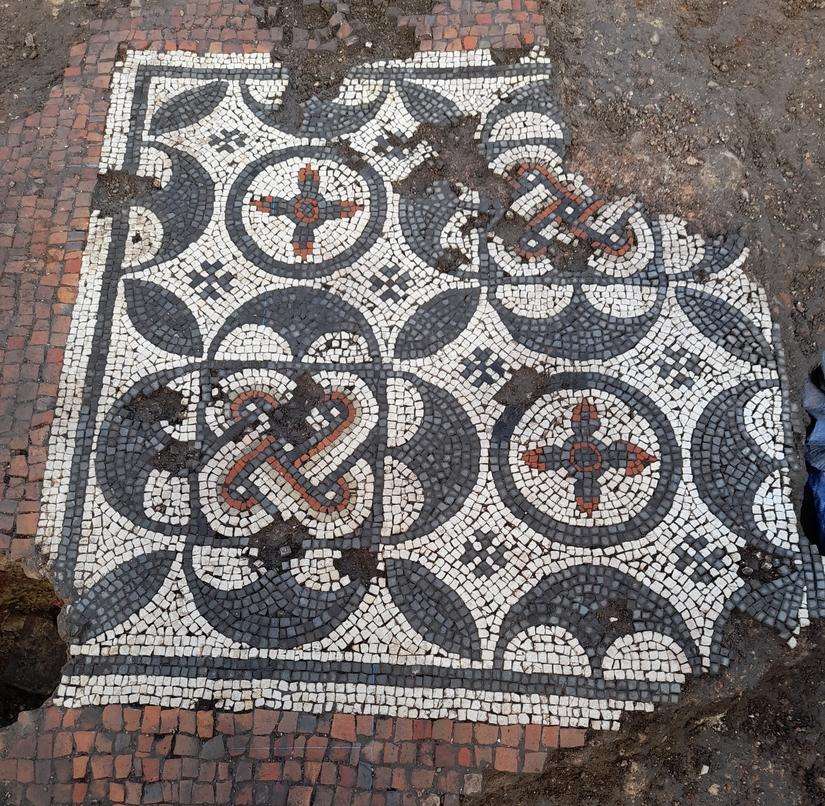 A small mostly complete mosaic with a white pattern