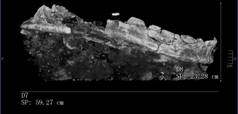 CT scan of the cauldron showing a band around the rim