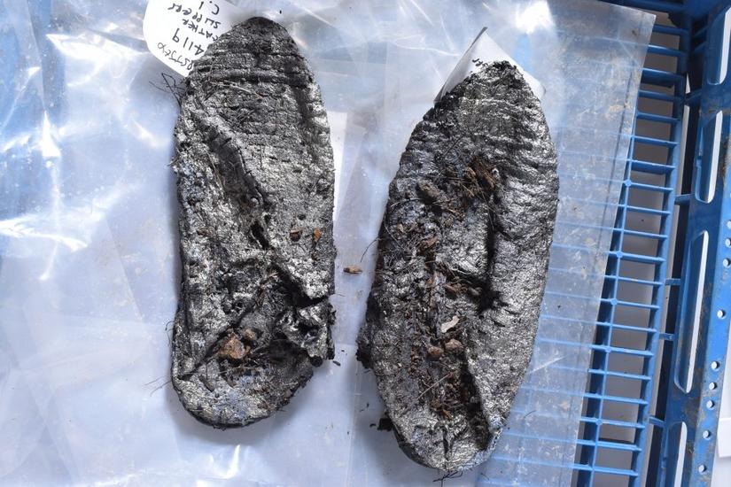 The slippers before conservation