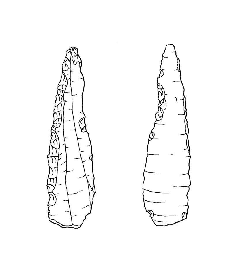 Drawing of an example Mesolithic flint microlith