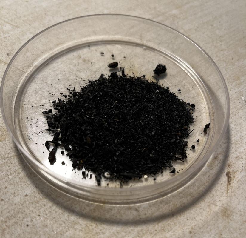 Sample tray containing charred plant remains