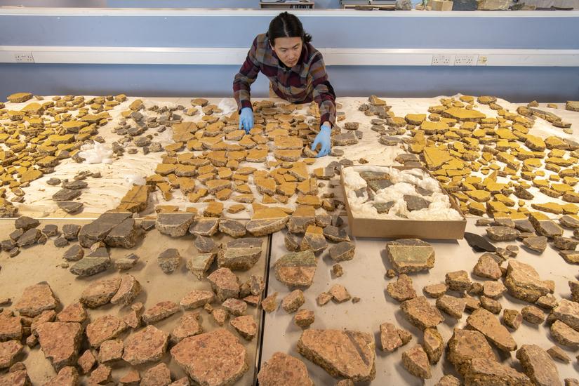 MOLA specialist Han Li standing behind a table covered with reconstructed wall plaster