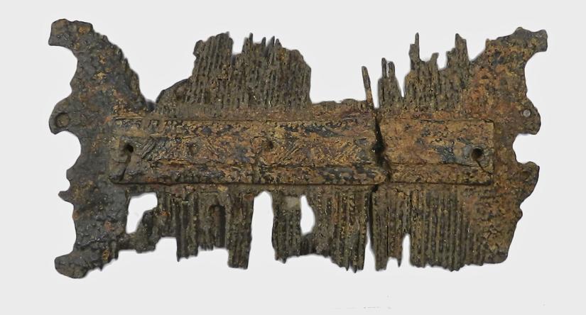 The remains of a comb with lots of teeth