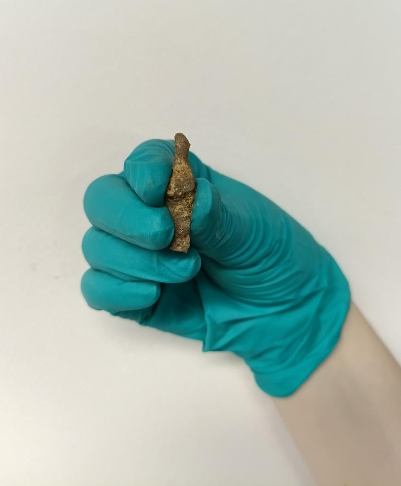 A hand holding the nail cleaner, which is small and a long oblong shape