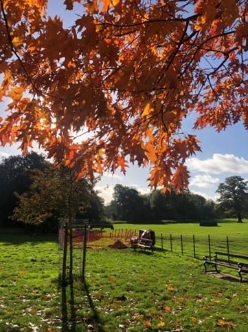 The test pit ready to be filled in