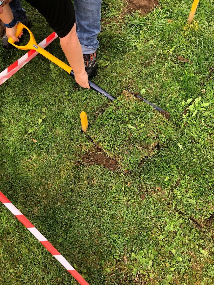 Photo of a square of turf held on a spade