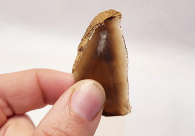 MOLA stock photo of a flint tool with a sharp serrated edge