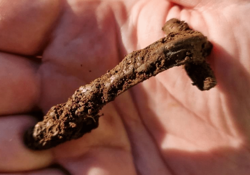 A soil covered brooch being held in an archaeologist's hand.