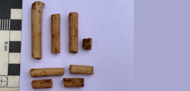 Pieces of clay pipe from site