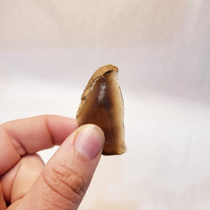 A small serrated-edged piece of flint being held between someone's fingers.
