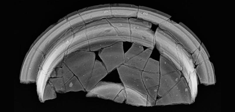 xray of a roman bowl