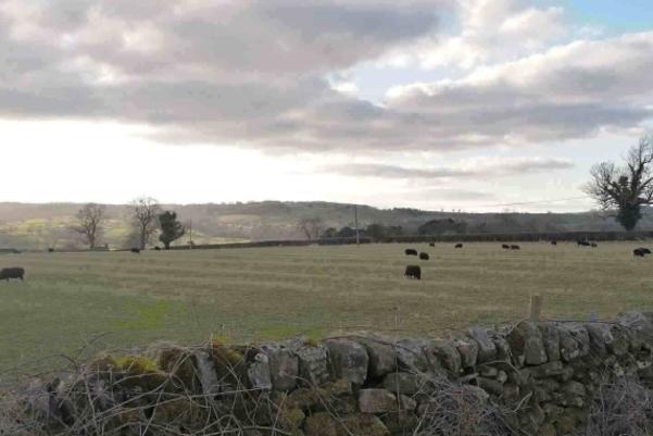 Field with ridge and furrow marks