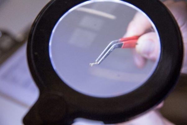 A tiny bone shown under a microscope