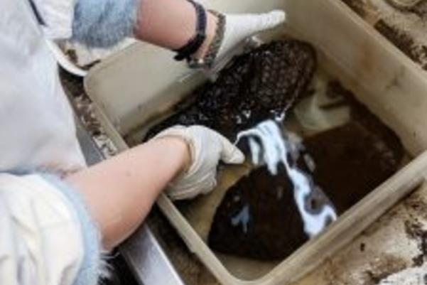 The slippers being places in a tub of liquid