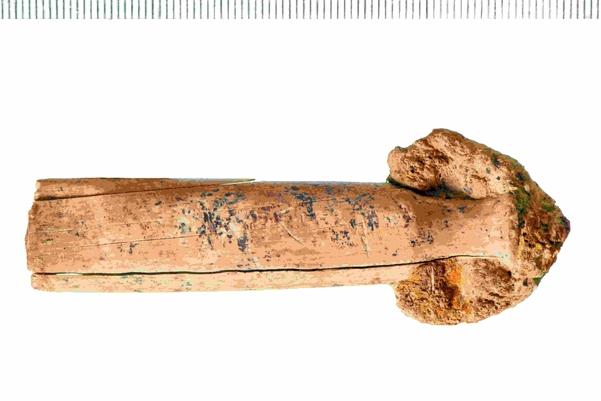 A arrow shaped piece of ivory with a long tail and rounded point