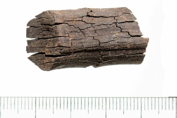 A rectangular fragment of shale, it has a crackled texture and looks like a piece of burnt wood