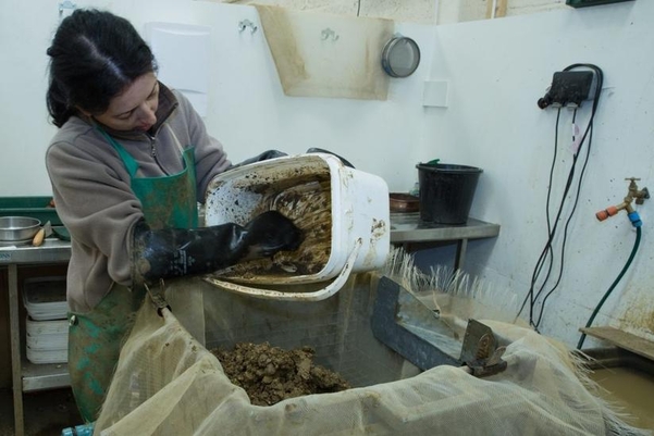 An archaeologist processing an environmental sample