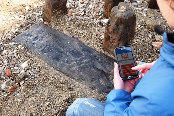 Photo of volunteer recording wood on foreshore using an app on their phone