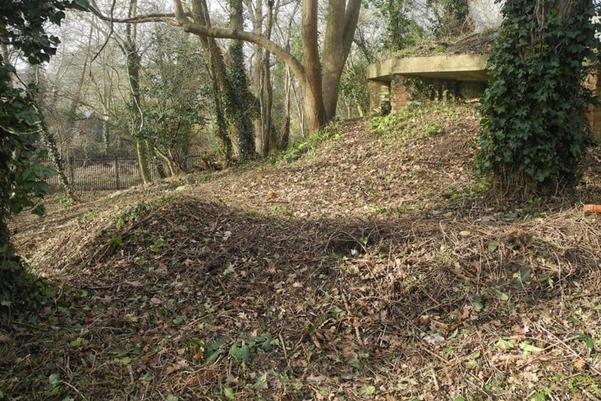 Part of the land above the bunker today. The concrete and earth embankments are covered in trees and leaves.