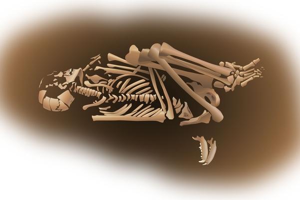 Drawing of a Roman burial from Field 44