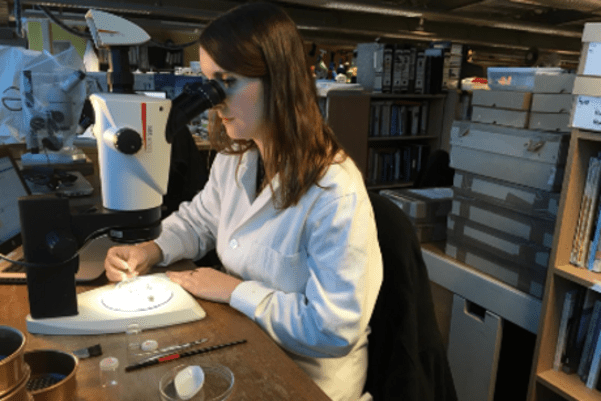 An archaeologist looking in a microscope
