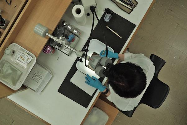 MOLA conservator Luisa Duarte clearns a writing tablet