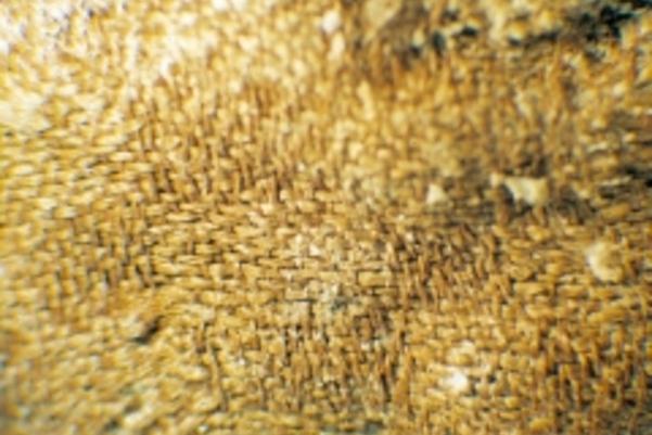 Magnified photo of silk damask showing the tight weave