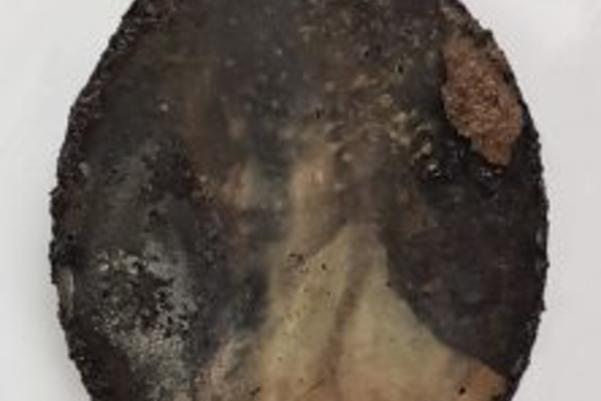 Miniature portrait found with Elizabeth Montgomery