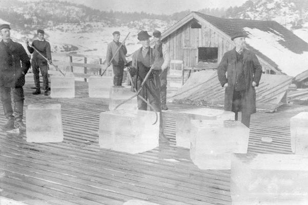 Historic photo of Norwegian ice cutters handle blocks of ice harvested from frozen lakes