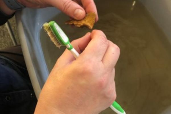 Cleaning finds in a washing up bowl
