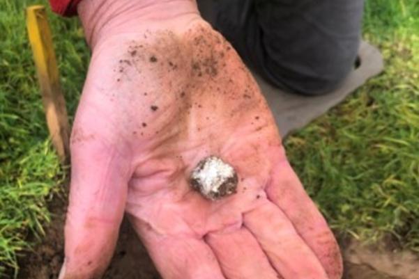 hand holding a small piece of white mortar
