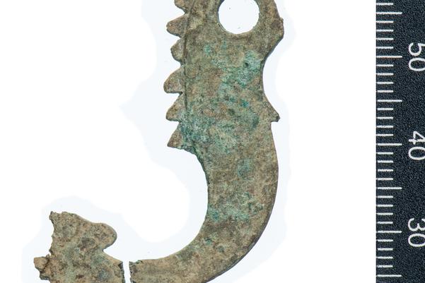 Piece of metal in the shape of a dolphin