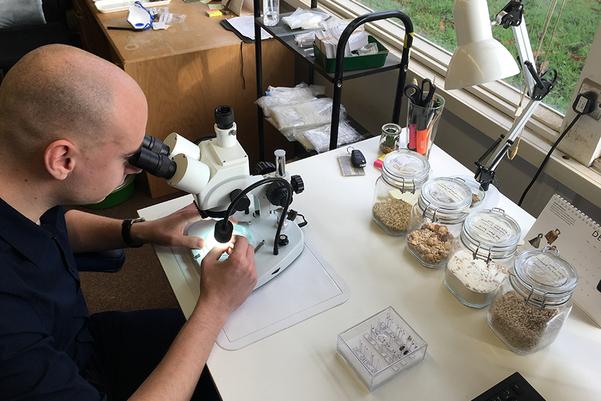 An archaeobotanist looking down a microscope