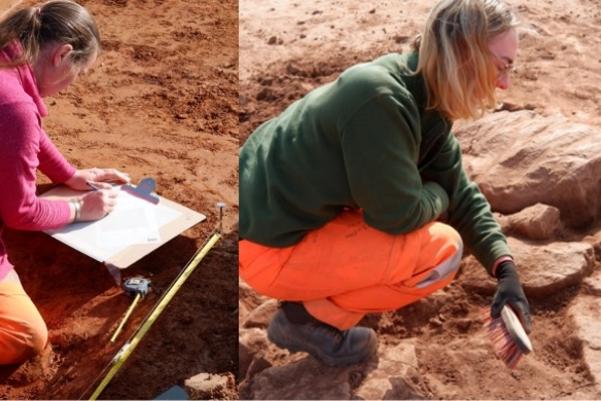 Collage of archaeologists working on site