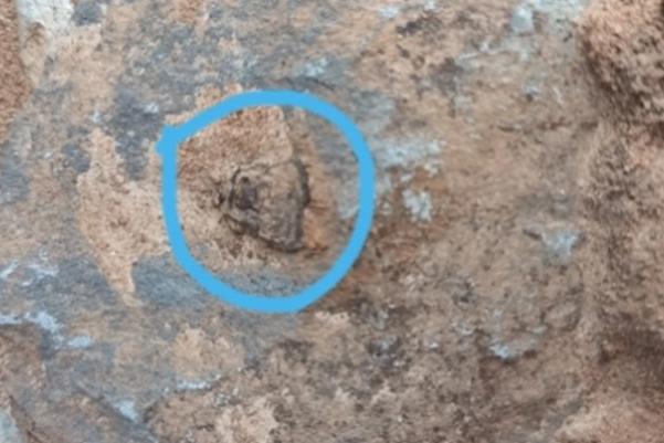 Nail in a Roman roof tile