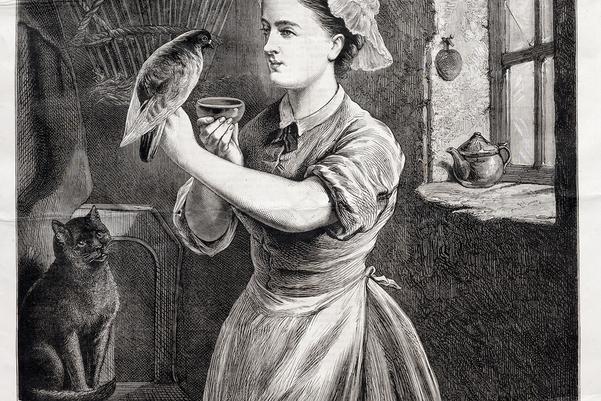 a historic illustration