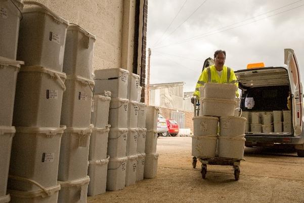 An archaeologist moving environmental samples