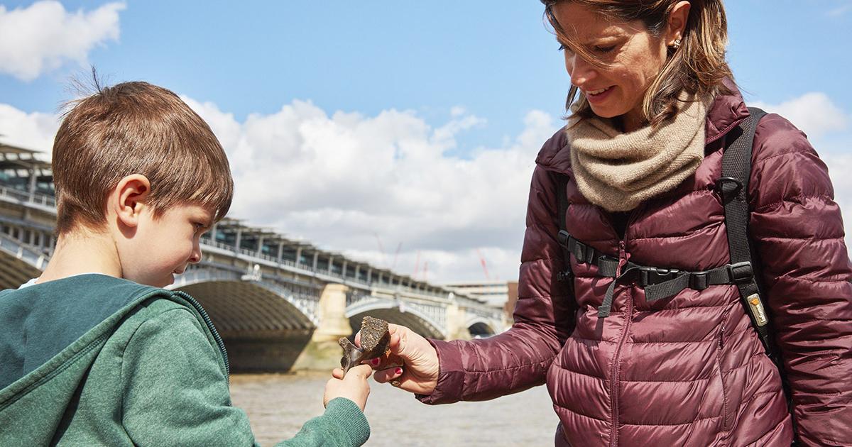 Tadpoles - Thames Discovery Programme | MOLA